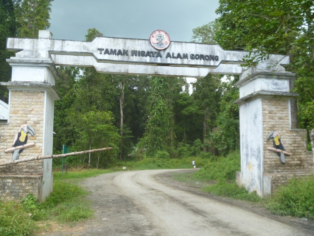 Panduan Wisata Sehari di Kota Sorong: Menginap Nyaman di M Hotel Sorong