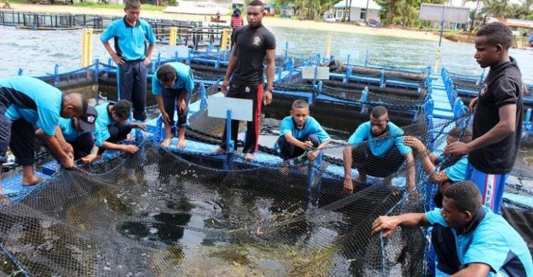 Perkembangan Kota Sorong sebagai Pusat Ekonomi dan Pariwisata di Papua Barat