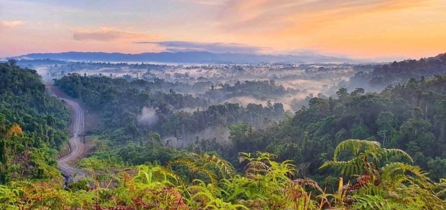 Menjelajahi Keindahan Alam Sorong: Wisata Bahari, Hutan Tropis, dan Budaya Lokal