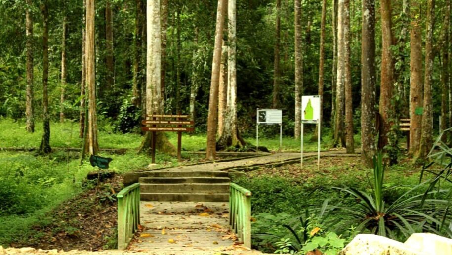 Eksplorasi Itinerary 1 Hari di Sorong: Sebelum Menyebrang ke Raja Ampat