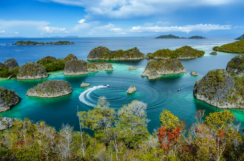 Sorong, Gerbang Menuju Raja Ampat: Apa Saja yang Bisa Dilakukan Sebelum Menyeberang?