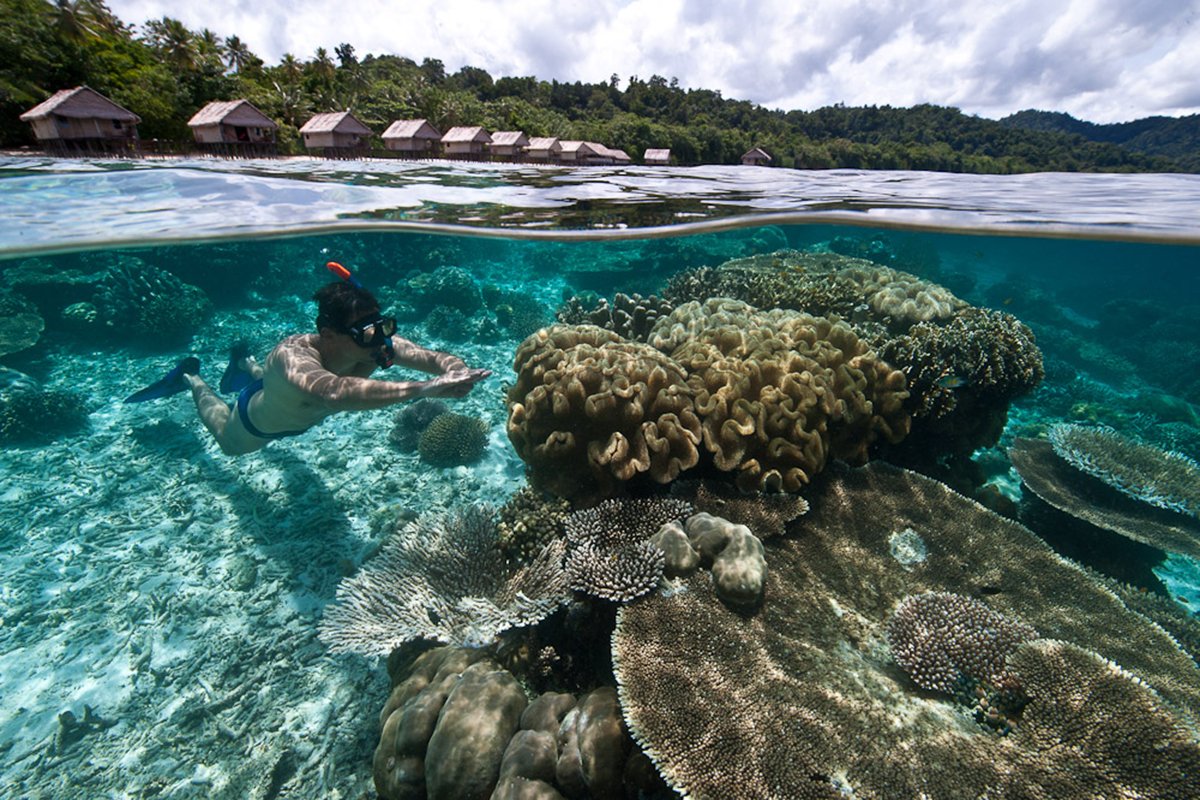 Petualangan Laut di Sorong: Snorkeling dan Diving di Keindahan Bawah Laut Raja Ampat