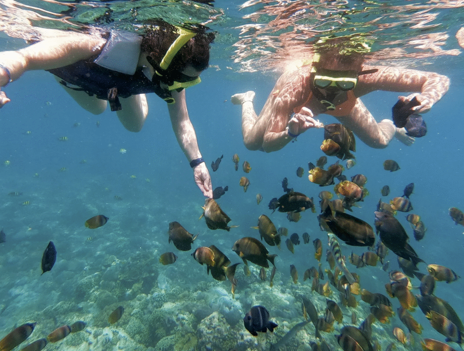 Jelajahi Dunia Bawah Laut: Wisata Snorkeling dan Diving di Perairan Sorong