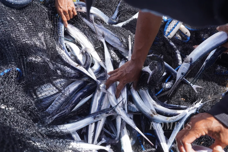 Menyelami Gaya Hidup Lokal Kota Sorong yang Autentik