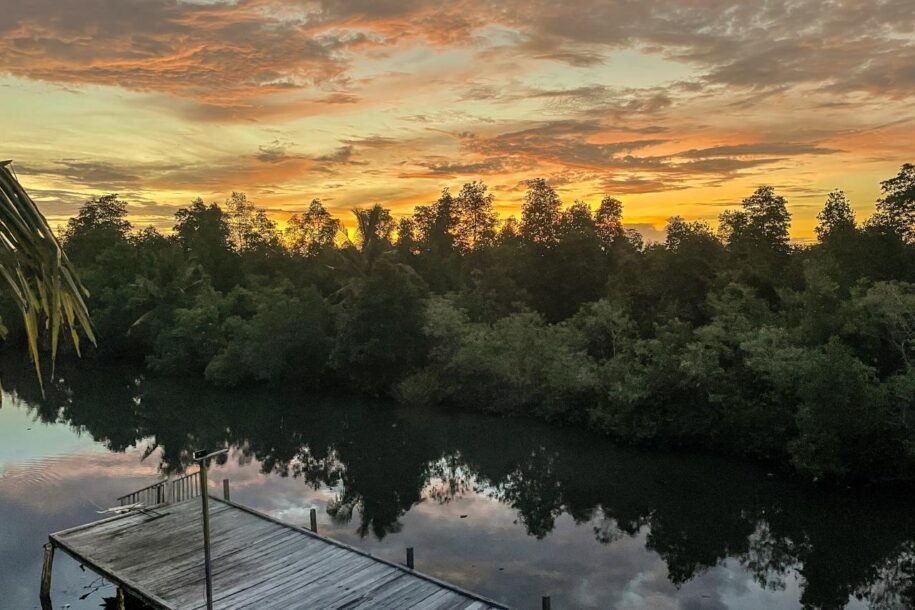 Pesona Alam Tersembunyi di Sorong: Dari Hutan Mangrove hingga Air Terjun Klasaman