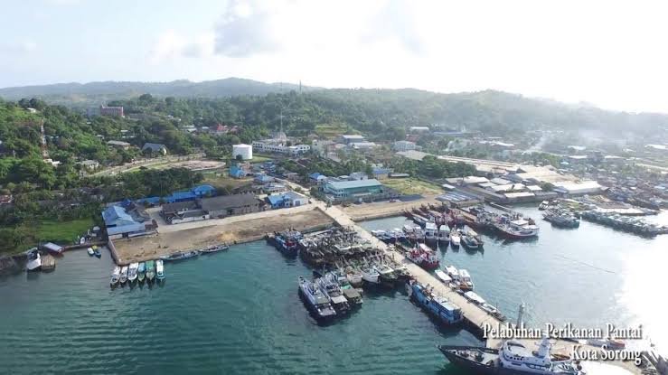 Sorong sebagai Hub Ekonomi Maritim: Potensi dan Tantangan Bisnis Perikanan Sorong sebagai Hub Ekonomi Maritim: Potensi dan Tantangan Bisnis Perikanan