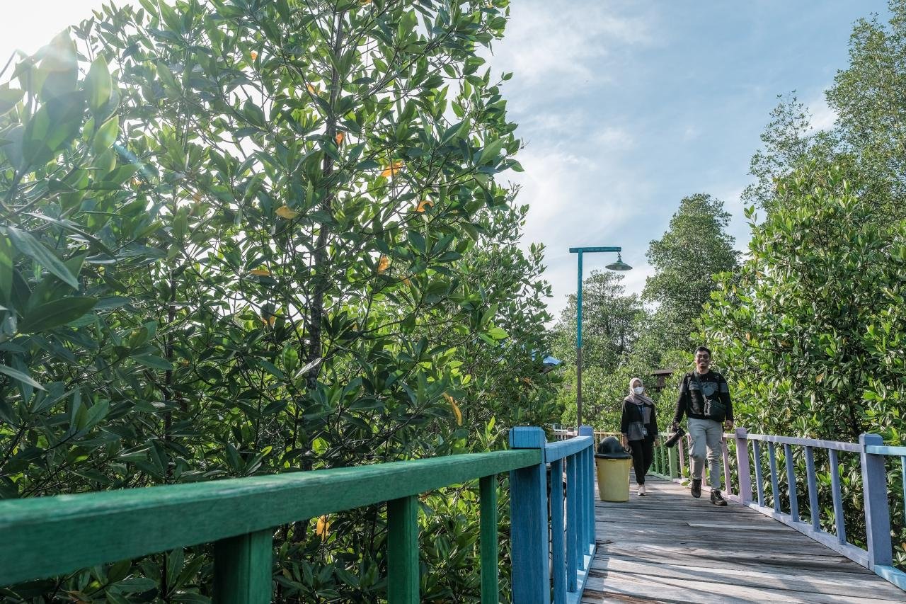 Wisata Alam Sorong: Menyusuri Hutan Mangrove Klawalu dan Keindahan Tersembunyi Papua Barat Wisata Alam Sorong: Menyusuri Hutan Mangrove Klawalu dan Keindahan Tersembunyi Papua Barat