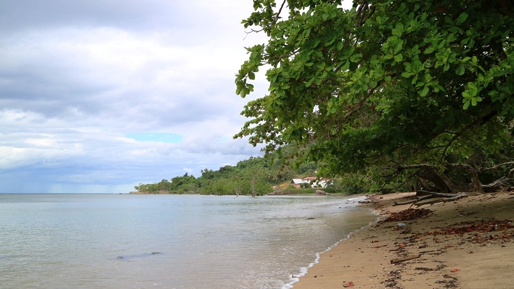 Bukan Sekadar Gerbang Raja Ampat: Destinasi Alam Tersembunyi di Sorong yang Wajib Dikunjungi Bukan Sekadar Gerbang Raja Ampat: Destinasi Alam Tersembunyi di Sorong yang Wajib Dikunjungi