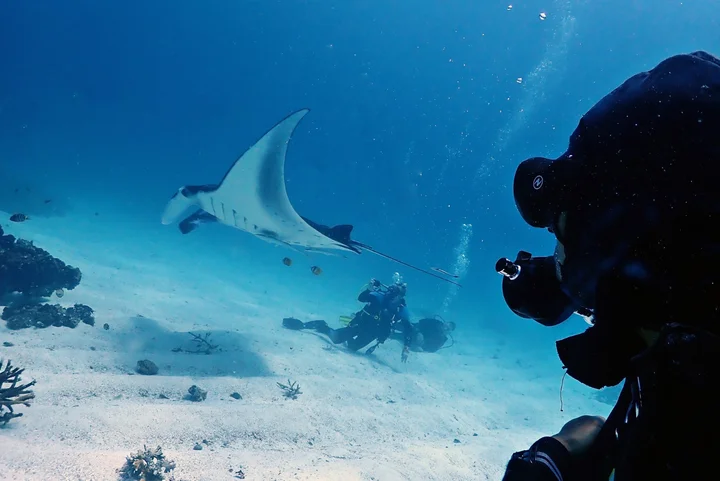 Sorong dan Pesona Wisata Bahari Papua Barat: Gerbang Menuju Surga Bawah Laut Indonesia