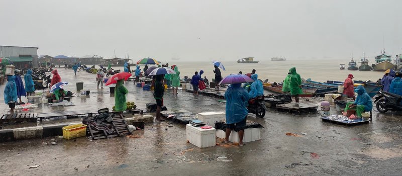 Perpaduan Budaya Papua, Ekonomi Pesisir, dan Kehidupan Kota Modern