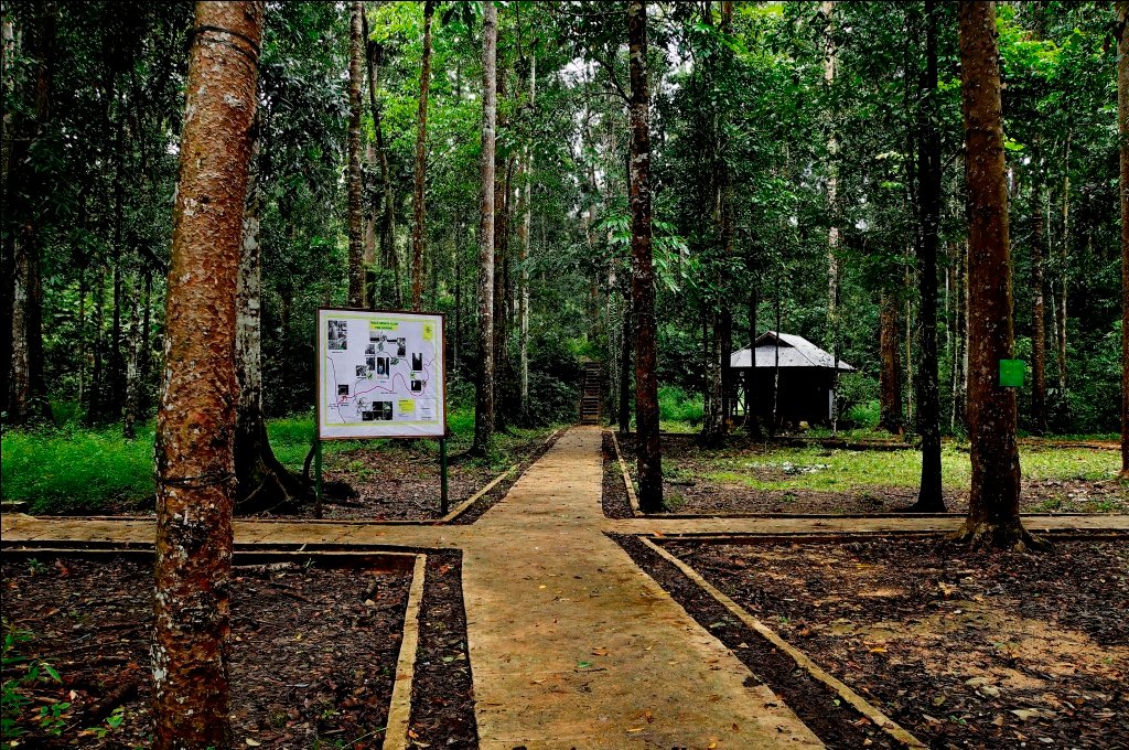 Wisata Alam Sorong: Kombinasi Hutan Tropis, Laut Biru, dan Keheningan Papua