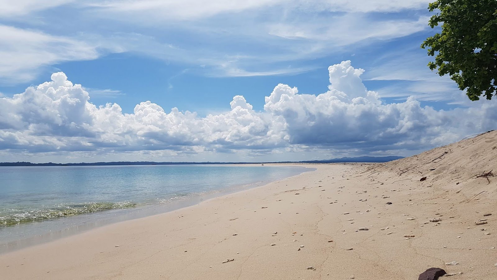 Itinerary 2 Hari 1 Malam di Sorong Sebelum ke Raja Ampat: Liburan Singkat yang Tetap Berkesan