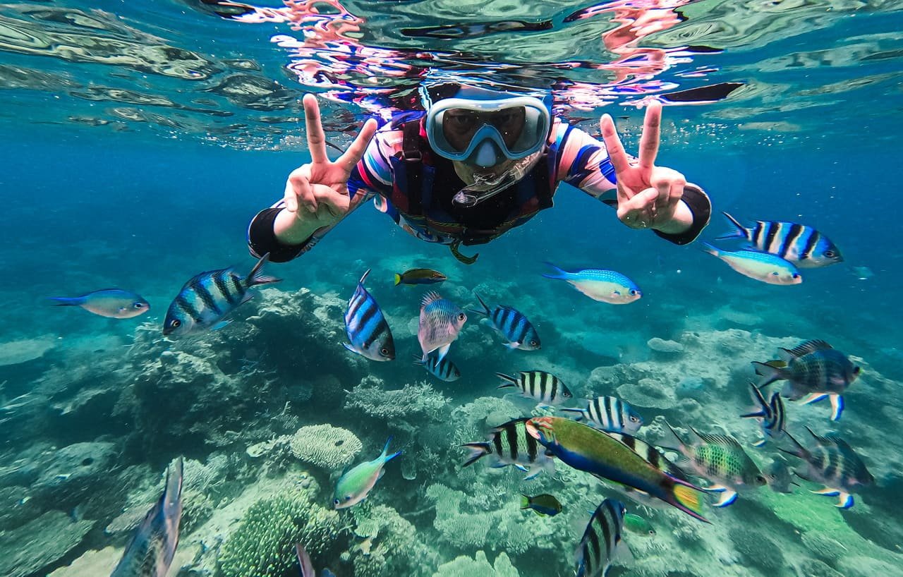 Bukan Cuma Raja Ampat: Spot Snorkeling di Sekitar Sorong yang Layak Dicoba