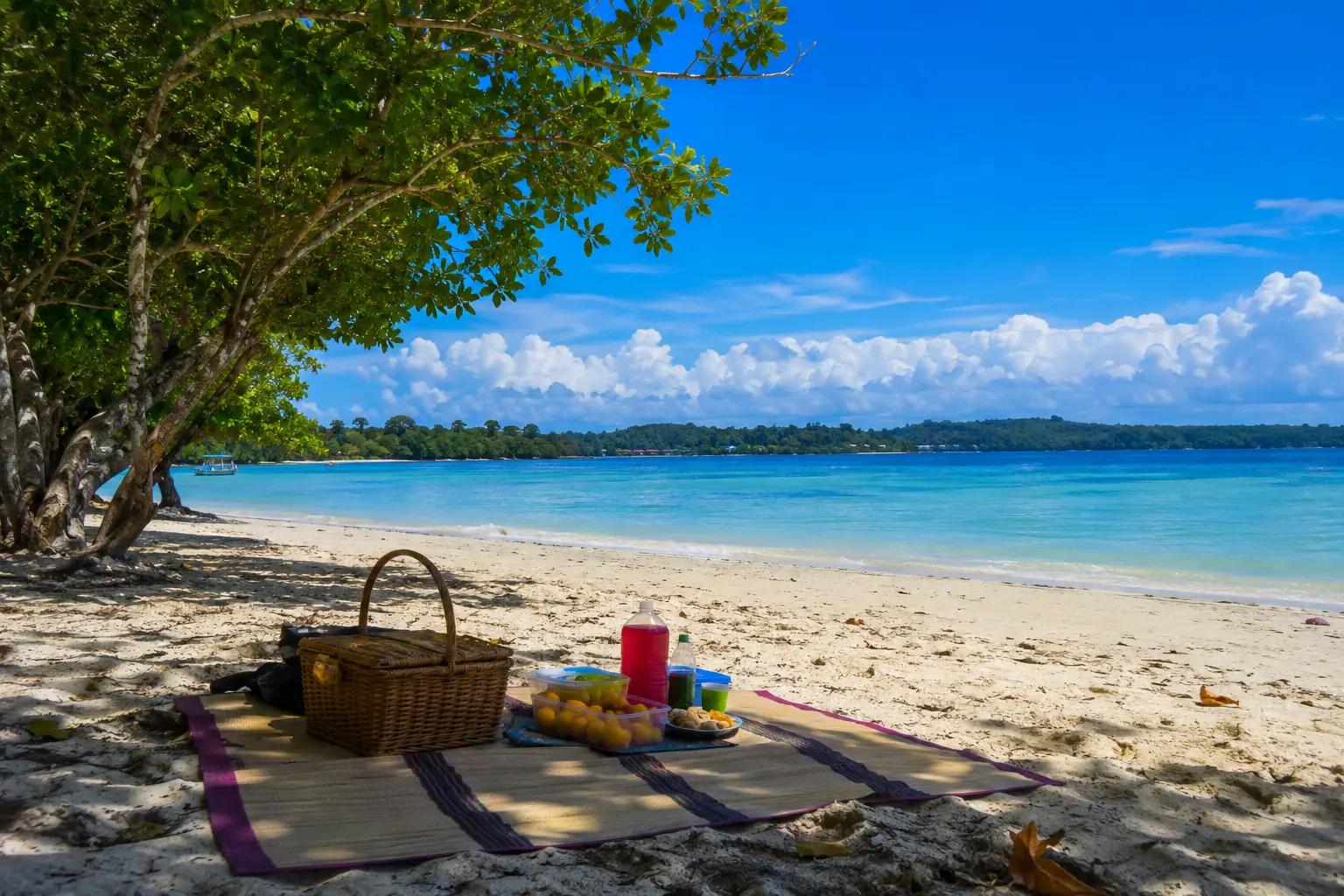 Piknik Santai di Sorong 5 Inspirasi untuk Remarkable Vacation yang Lebih Berkesan Piknik Santai di Sorong 5 Inspirasi untuk Remarkable Vacation yang Lebih Berkesan